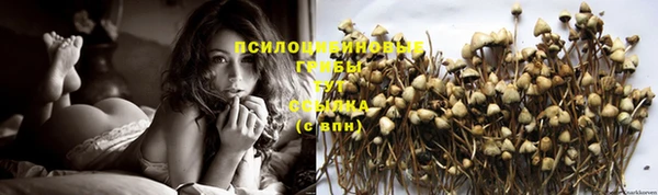 mix Арсеньев