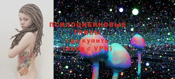 гашик Ростов