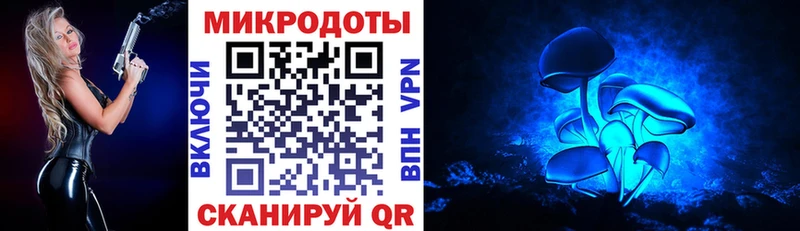 купить наркотики сайты  даркнет как зайти  Псилоцибиновые грибы мицелий  Фролово 